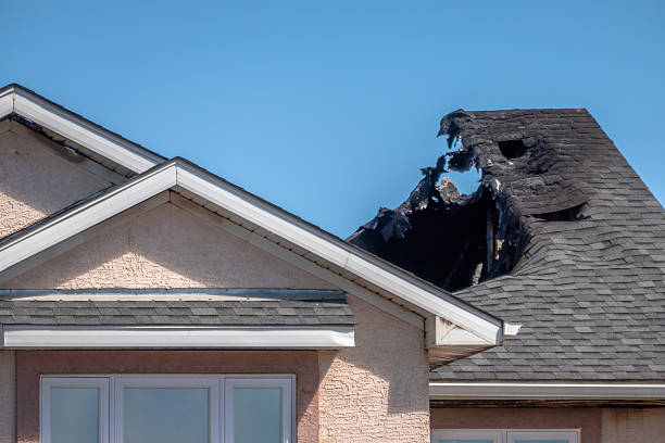 Licensed Board Up Services service in Bay Pines, FL - Fire Damage Biloxi